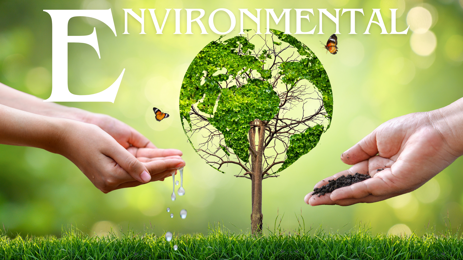 SustainaTop_Environment.png